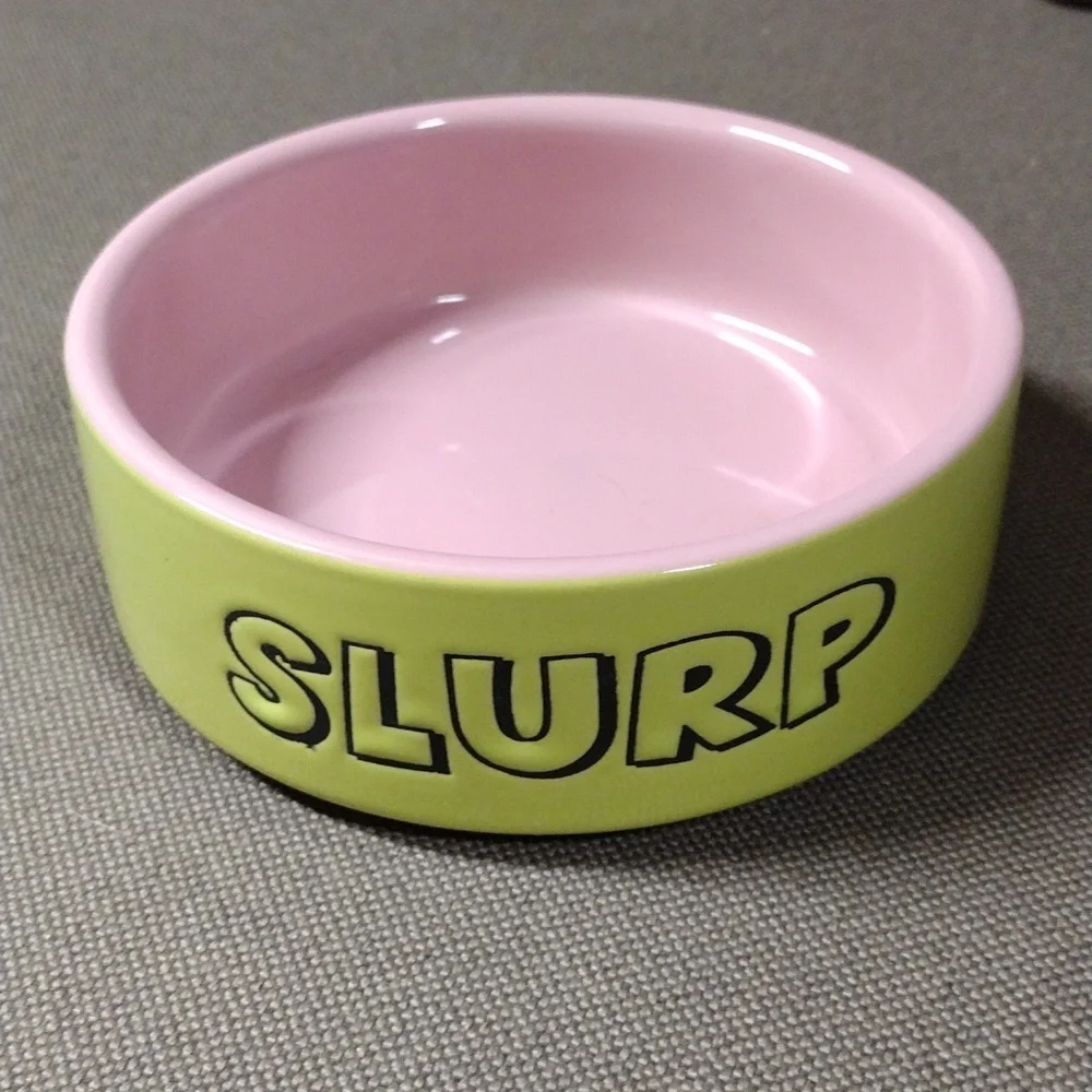 Ceramic pet dish 